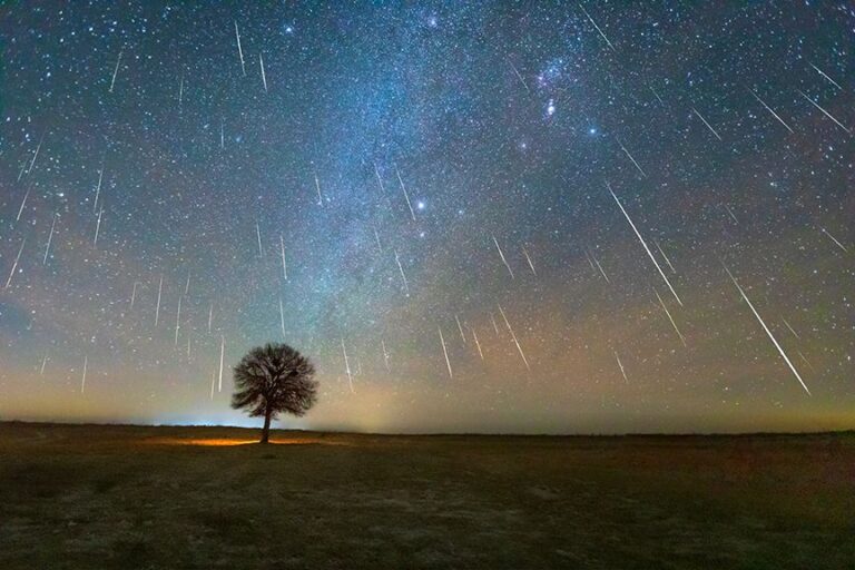 How to Watch the Leonids Meteor Shower