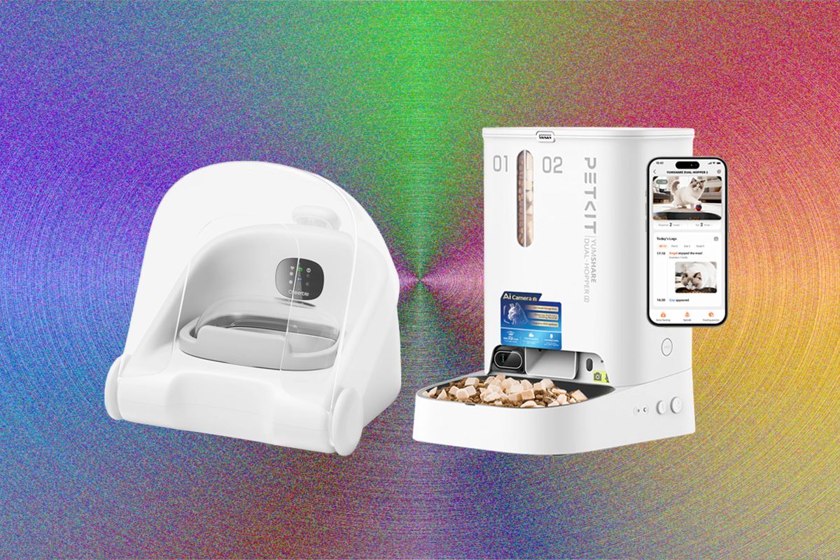 These 11 Automatic Cat Feeders Were the Best We Tested in 2026