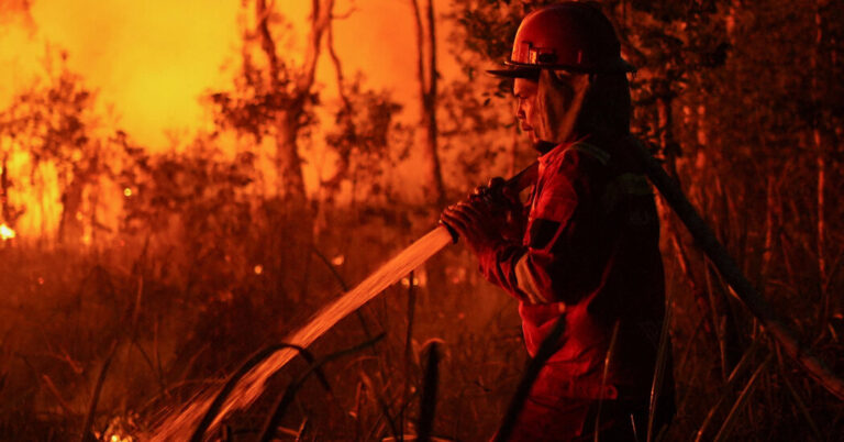 As El Niño Dries Indonesia, Wildfires Intensify