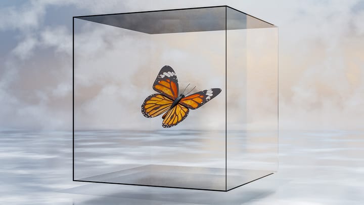 Butterfly Effect of State Mandates on 401(k) Plans